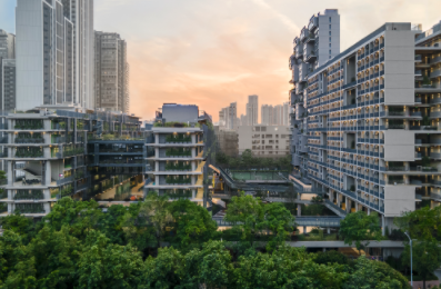 深国交入学备考