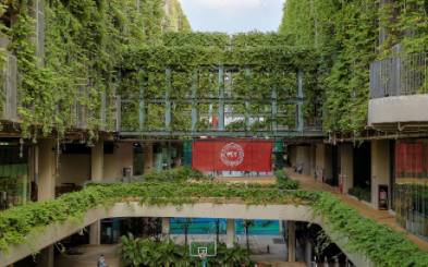 深国交同步课程